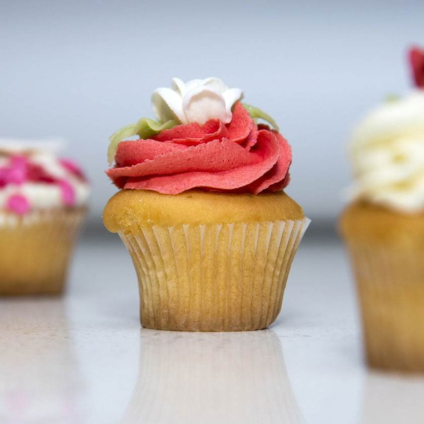 A vanilla cupcake with topped with a vanilla buttercream swirl in the design of a roses.